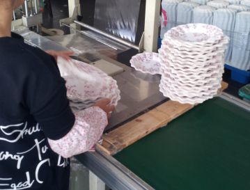 Verpacken Partyteller